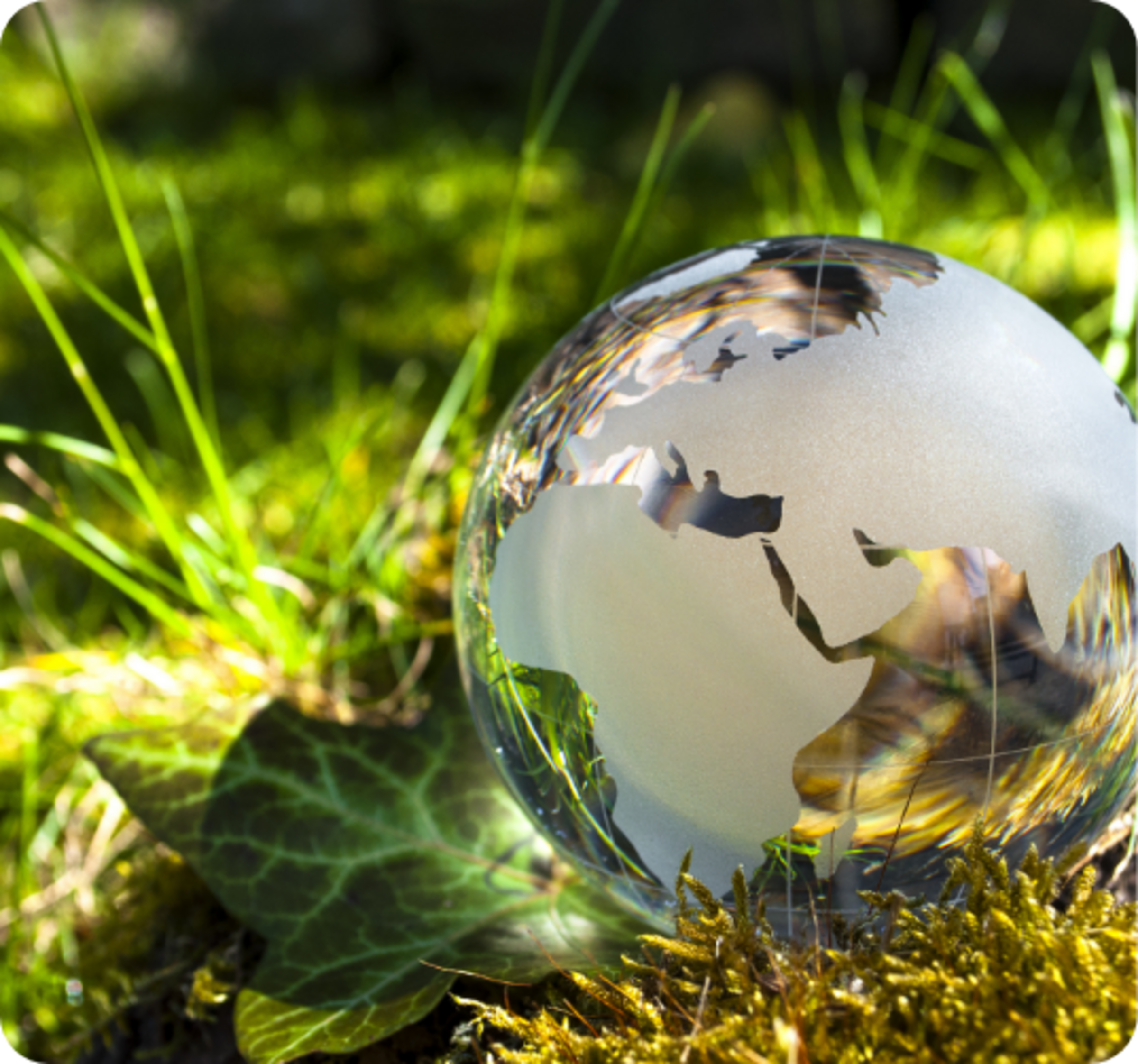 109845124 - Weltkugel aus Glas, Erde mit Gras und Sonne, Naturschutz, Umweltschutz, Klimaschutz.png