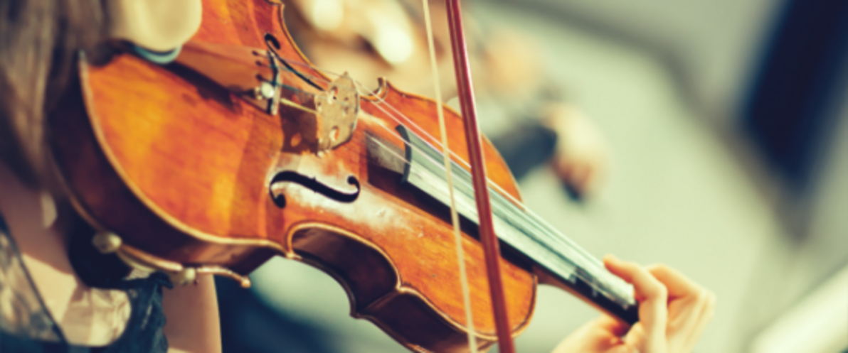 90080029 - Symphony orchestra on stage, hands playing violin.png